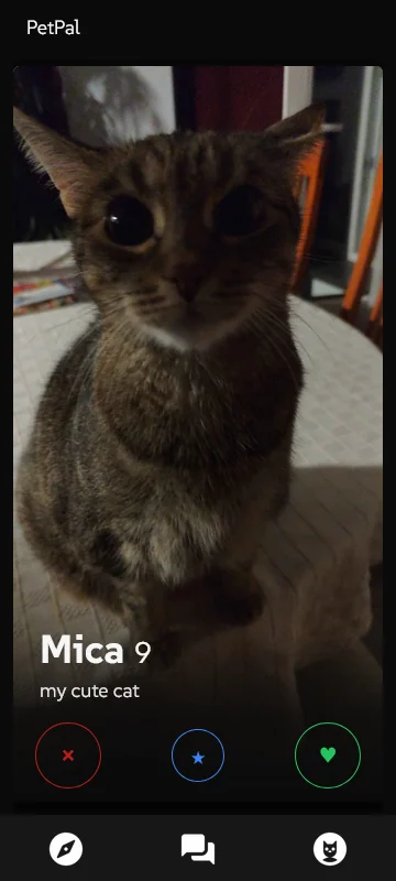 pet profile