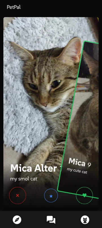 swipe discovery